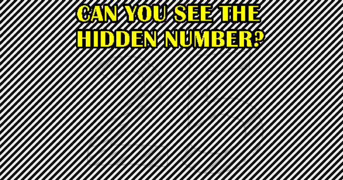 can-you-see-the-hidden-number